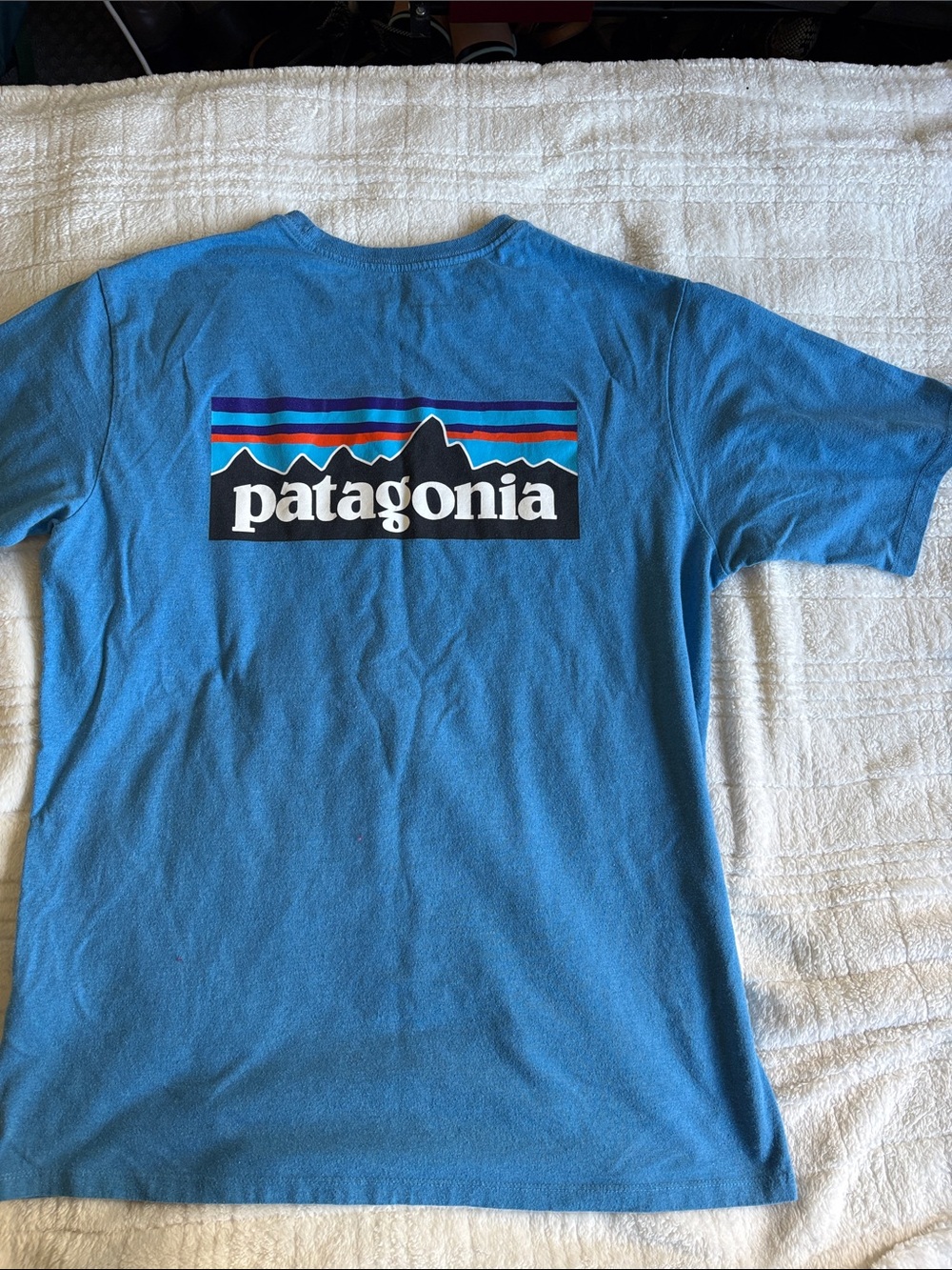 Patagonia Blue Tee with Multicolor Mountain Logo Regular Medium